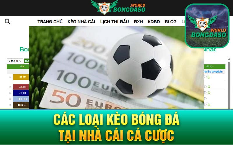 Các loại kèo bóng đá tại nhà cái cá cược 
