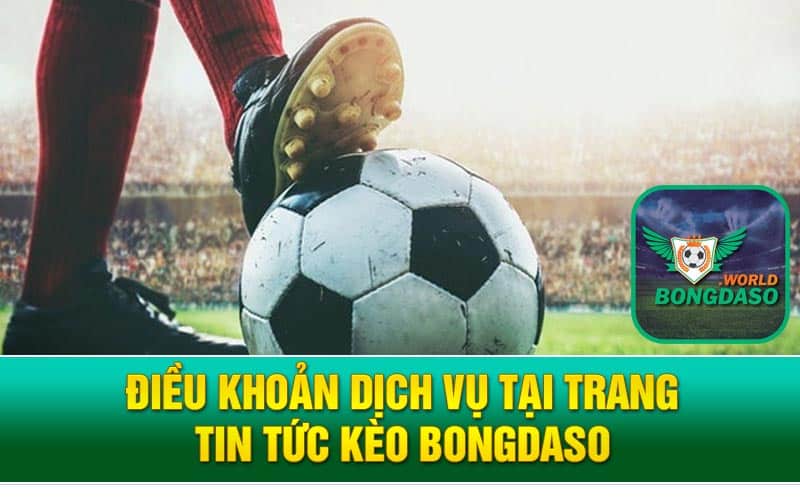 Điều Khoản Dịch Vụ Tại Trang Tin Tức Kèo Bongdaso