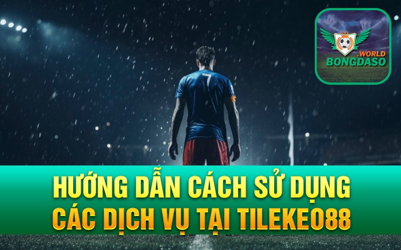 Hướng dẫn cách sử dụng các dịch vụ tại Tilekeo88