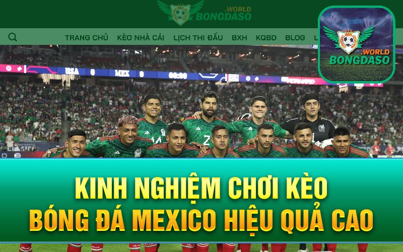 Kinh nghiệm chơi kèo bóng đá Mexico hiệu quả cao