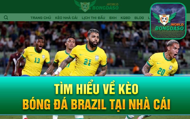 Tìm hiểu về kèo bóng đá Brazil tại nhà cái