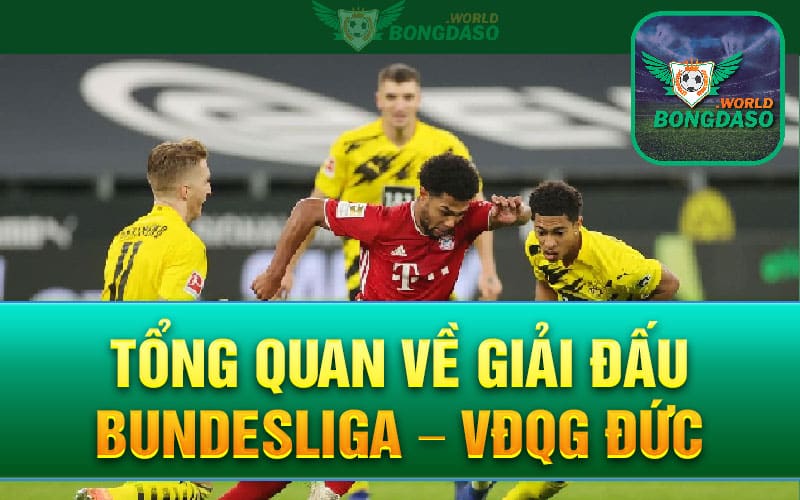 Tổng quan về giải đấu Bundesliga – VĐQG Đức